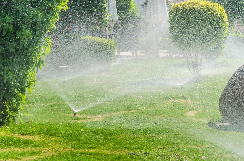 Automatic Sprinkle plants in the garden