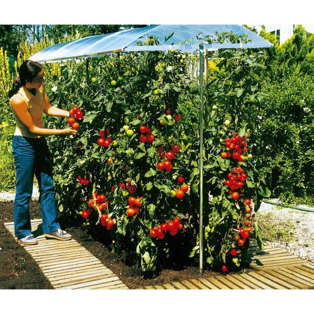 toit_culture_jardin