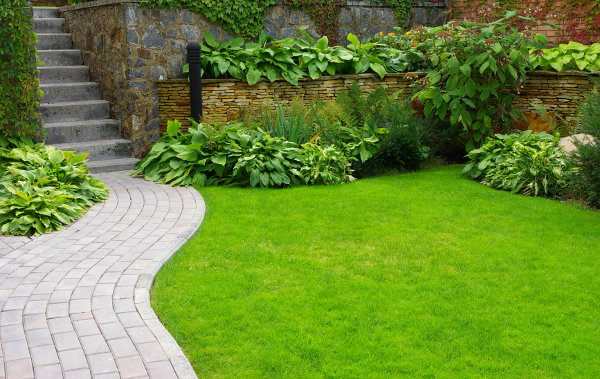 Garden stone path with grass growing up between the stones