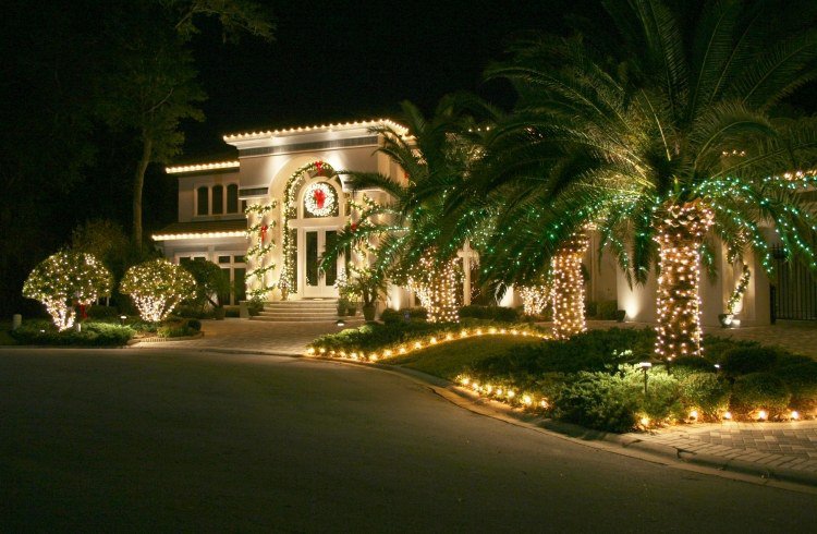 jardin-noel